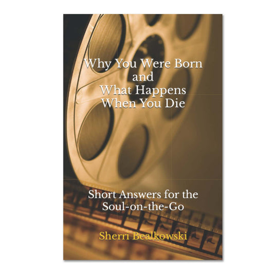 Why You Were Born and What Happens When You Die: Short Answers for the Soul-on-the-Go